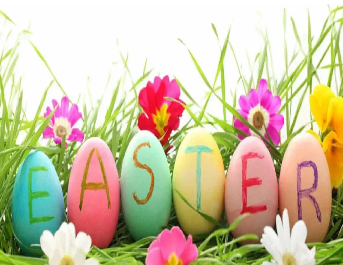Edible Icing Image Sheet Cake Topper with Easter Tulips themed decoration