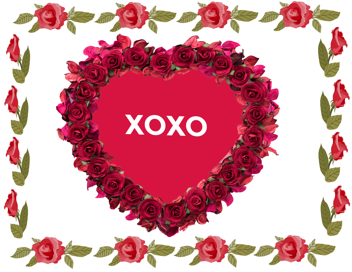 Heart-shaped frame of red roses with 'XOXO' text on a white background