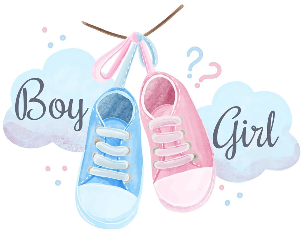 Blue and pink baby shoes with 'Boy' and 'Girl' text on a edible  image cake topper sheet.
