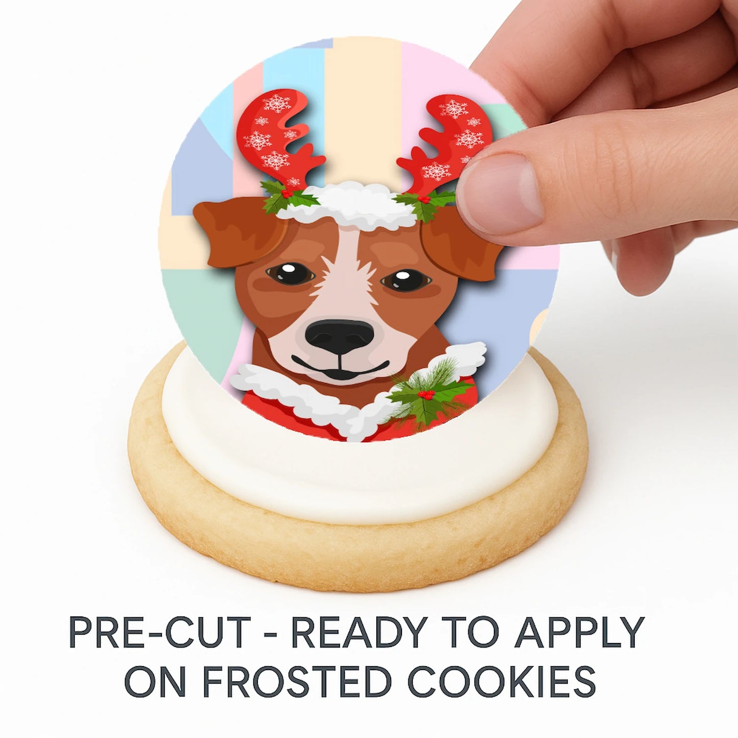 Hand placing pre-cut Christmas Canine Crew edible cake image on frosted cookie –  holiday cookie icing sheet