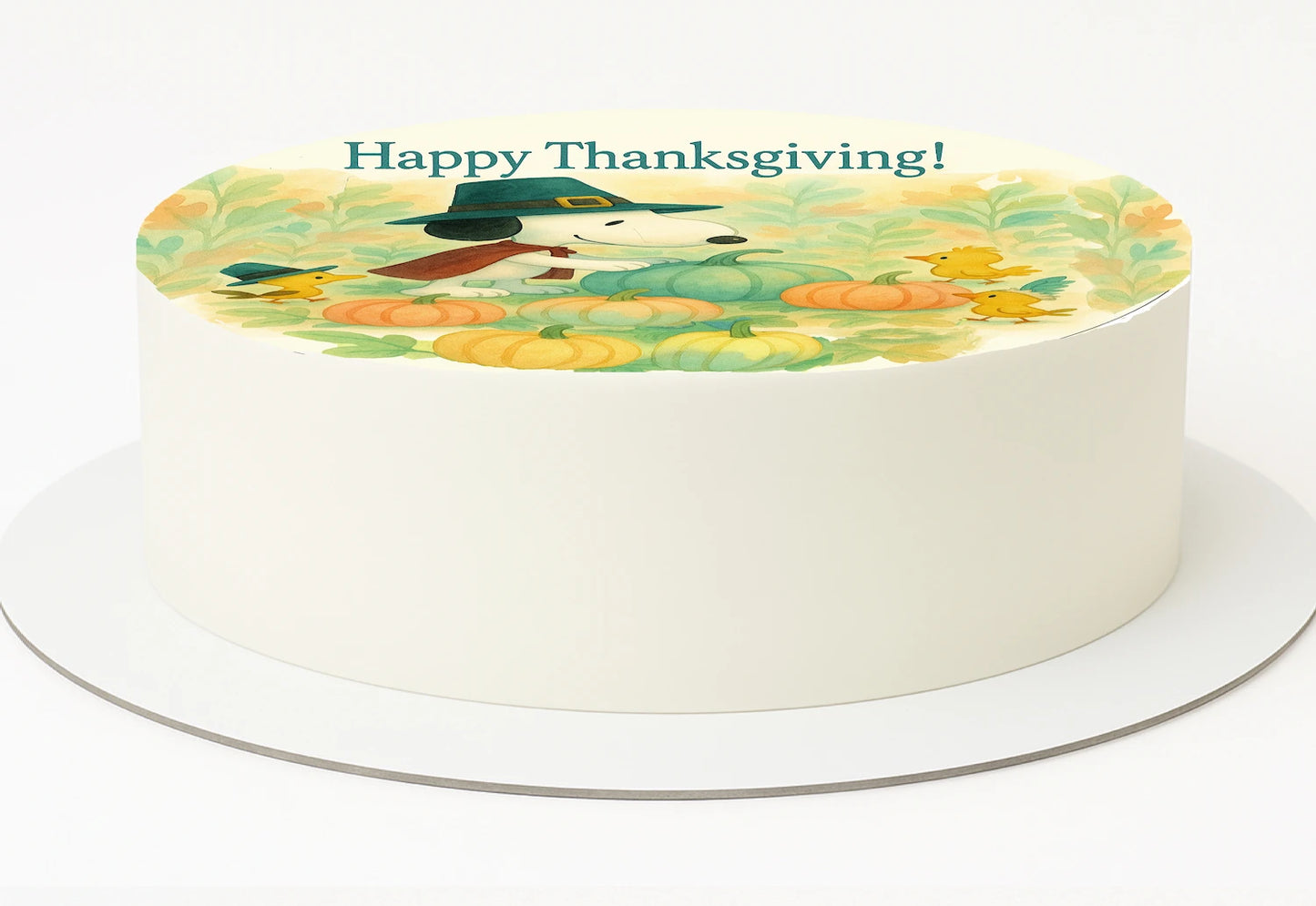 Thankksgiving Snoopy and woodstock with pumpkin on a colorful edible image cake topper
