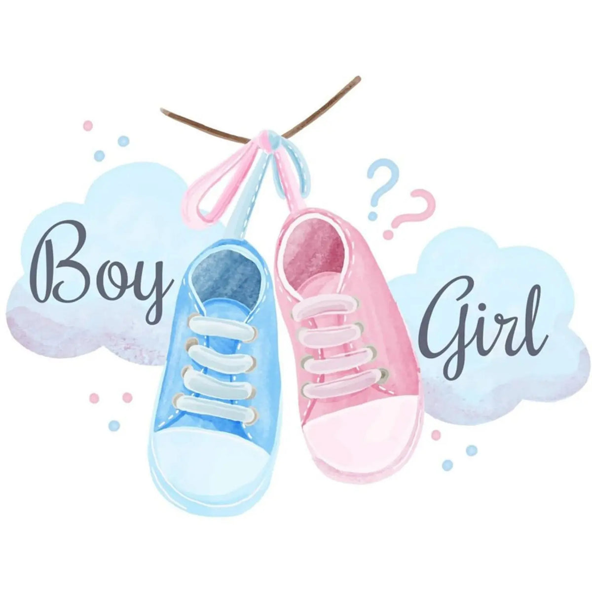 8.5 x 10.5-inch edible icing image featuring pink and blue baby shoes, shown flat
