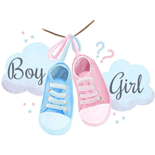 8.5 x 10.5-inch edible icing image featuring pink and blue baby shoes, shown flat